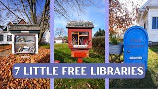 Explore 7 Little Free Libraries in One Town!