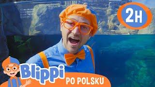 Blippi odwiedza zooBlippi po polskuNauka i zabawa dla Dzieci