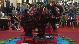 Lion Dance Pahang 馬來西亞 彭亨