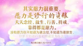 卢军宏台长 2021年最新开示【每日佛言佛语】4月15日 《愿力》