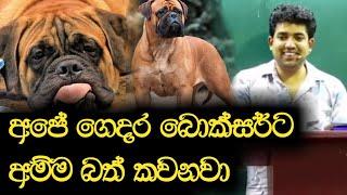 අපේ ගෙදර බොක්සර්ට අම්මා බත් කවනවා | Dinesh Muthugala | Episode 92