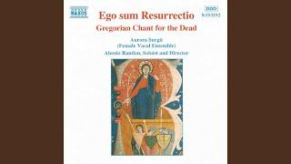 Gregorian Chant for the Dead: Dies irae (Sequentia)