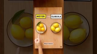 Meyer Lemons vs Eureka Lemons. What’s the difference?