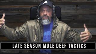 EP. 605: LATE SEASON MULE DEER TACTICS | ️ GRITTY