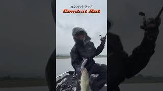 컴뱃 렛 combatrat #evergreen #에버그린 #bassfishing