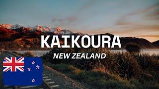 KAIKOURA, NEW ZEALAND: WHERE NATURE'S MAJESTY MEETS HISTORY : Best Things To And  Guide #kaikoura