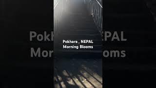 Pokhara Nepal Morning | December