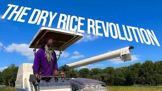 The Unlikely Success of Farming Rice in Maryland | MDF&H