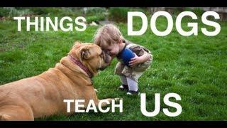 Things Dogs Teach Us