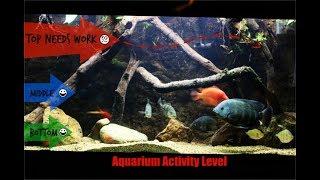 Encouraging Aquarium Fish To Utilize All Levels Of The Tank