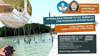 PKM OPTIMALISASI PRODUKTIVITAS BUDIDAYA DAN PEMASARAN KERANG HIJAU DI DESA BEDONO, KABUPATEN DEMAK