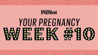 Your pregnancy: 10 weeks