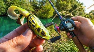 Un leurre GRENOUILLE pour pêcher les plus GROS POISSONS du bord