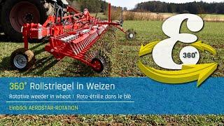 VR 360° | Rotative weeder in wheat | Einböck 360° experience #02