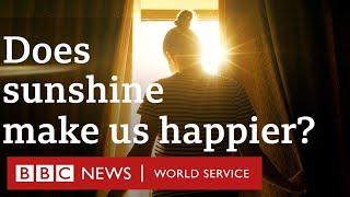 Is the 'sunshine cure' a real thing? - CrowdScience, BBC World Service podcast