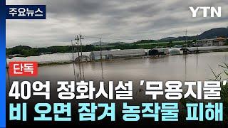 [단독] 비오면 잠길 곳에 웬 40억 혈세?..."공장 폐수까지 영산강 유입" / YTN