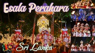 Esala Perahera | Kandy Dalada Maligawa Procession | Sri Lanka’s Grand Buddhist Festival #travelvlog