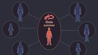 Findings in Survivors of Ebola Virus Disease