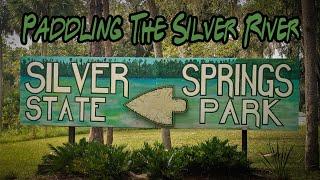 Paddling the Silver River -  Silver Springs State Park #silverriver #ocala #kayaking #kayakingfun