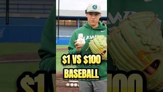 $1 vs $100 Baseball