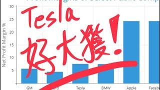 (￼難怪之前羅家聰唔睇好TSLA) Tesla 業績：￼股價一定會跌穿$100！佢嘅毛利率好有問題！市場估值必然暴跌