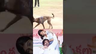 #pawankalyan Cute Moment With His Daughter #aadhya  #78thindependenceday #janasena #shorts #ytshorts