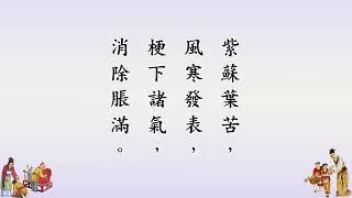 聖學根之根有聲書19－中藥藥性歌訣（包括：中藥十八反歌訣、中藥十九畏歌訣） (第六冊)