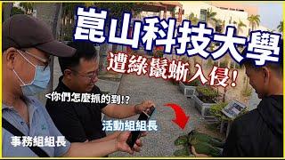 【緊急！】崑山科技大學竟遭綠鬣蜥入侵！組長主任驚奇「你們怎麼抓的到？」擋到他人財路！J爸遭抹黑詆毀移除工具？用臉探險EP16