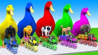 5 Giant Duck Cartoon,Cow,Tiger,Elephant,Sheep,Monkey Paint Wild Animals Crossing Fountain Animation