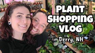 Plant Shopping Vlog!!  all the good stuff at The Plant Shop in Derry, NH ️ rares & great prices!!