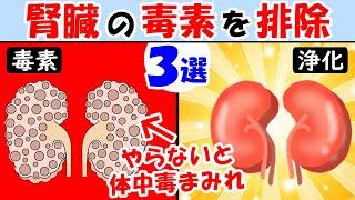 腎臓の働きを高めれば体に溜まった毒素や老廃物はゴッソリ取れる3選！腎機能を高めてデトックス【腎臓に良い食べ物】しんどい時疲れた時は見て