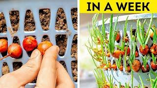 Gardening Ideas for Home: Creative and Practical Gardening Hacks for Every Space 