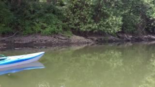 Kayaking the Columbia Slough