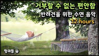 #멍마들  거부할 수 없는 편안함 | 반려견을 위한 12시간 수면 음악 - 12 hour sleep music for dogs