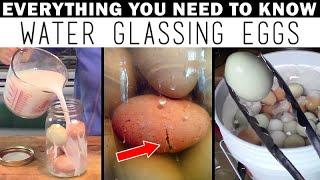 HOW TO WATER GLASS EGGS: Successfully the 1st Time! Plus 1-Year Results Revealed