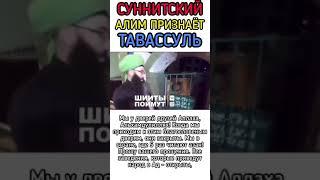 Суннитский Алим признаёт тавассуль