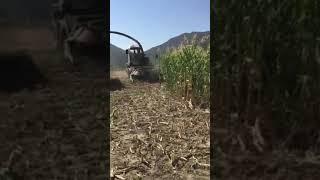 Gomselmash Forage harvester FS60 in India with 235 HP Mercedes Benz engine