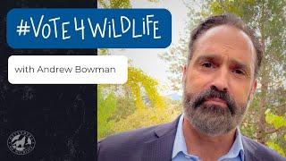 #Vote4Wildlife with Andrew Bowman