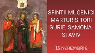 SFINTII MUCENICI MARTURISITORI GURIE, SAMONA SI AVIV - 15 noiembrie