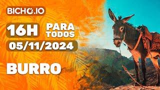 Resultado ao vivo PARATODOS # 16H - PTV - 05/11/2024