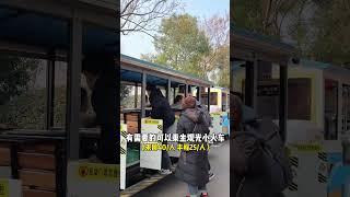 长沙必打卡的岳麓山和橘子洲，一条视频教你怎么玩#长沙旅游 #长沙旅游攻略 #橘子洲头 #岳麓山 #旅行推荐官