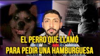 El caso del PERRO QUE LLAMÓ para pedir UNA HAMBURGUESA