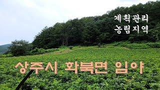 (매물 6462)경상북도 상주시 화북면 상오리 임야. 계획관리, 농림지역, 13200평 임야,  임업용산지, 준보전산지, 금액은 평당가 1만원