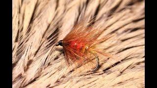 Tying an Aberdeen Angus with Martyn White (wet fly)