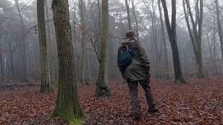 Bushcraft Wild Camp in Breckland ASMR