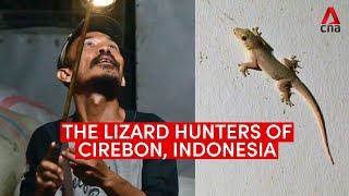 The lizard hunters of Cirebon, Indonesia