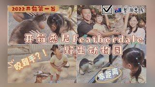 开箱悉尼Featherdale野生动物园｜澳洲袋鼠真的咬人吗？！｜2022 New Year's Unboxing @featherdalewildlife