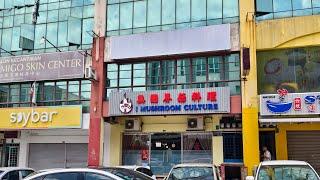 【蔬悅】Puchong Puteri | 无国界菇料理 | 得奖的素食店