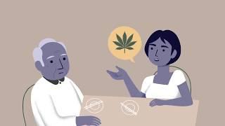 Understanding Medicinal Cannabis and its uses