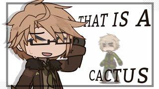   𖥻 [ THAT IS A CACTUS! ] :  Hetalia | America & England